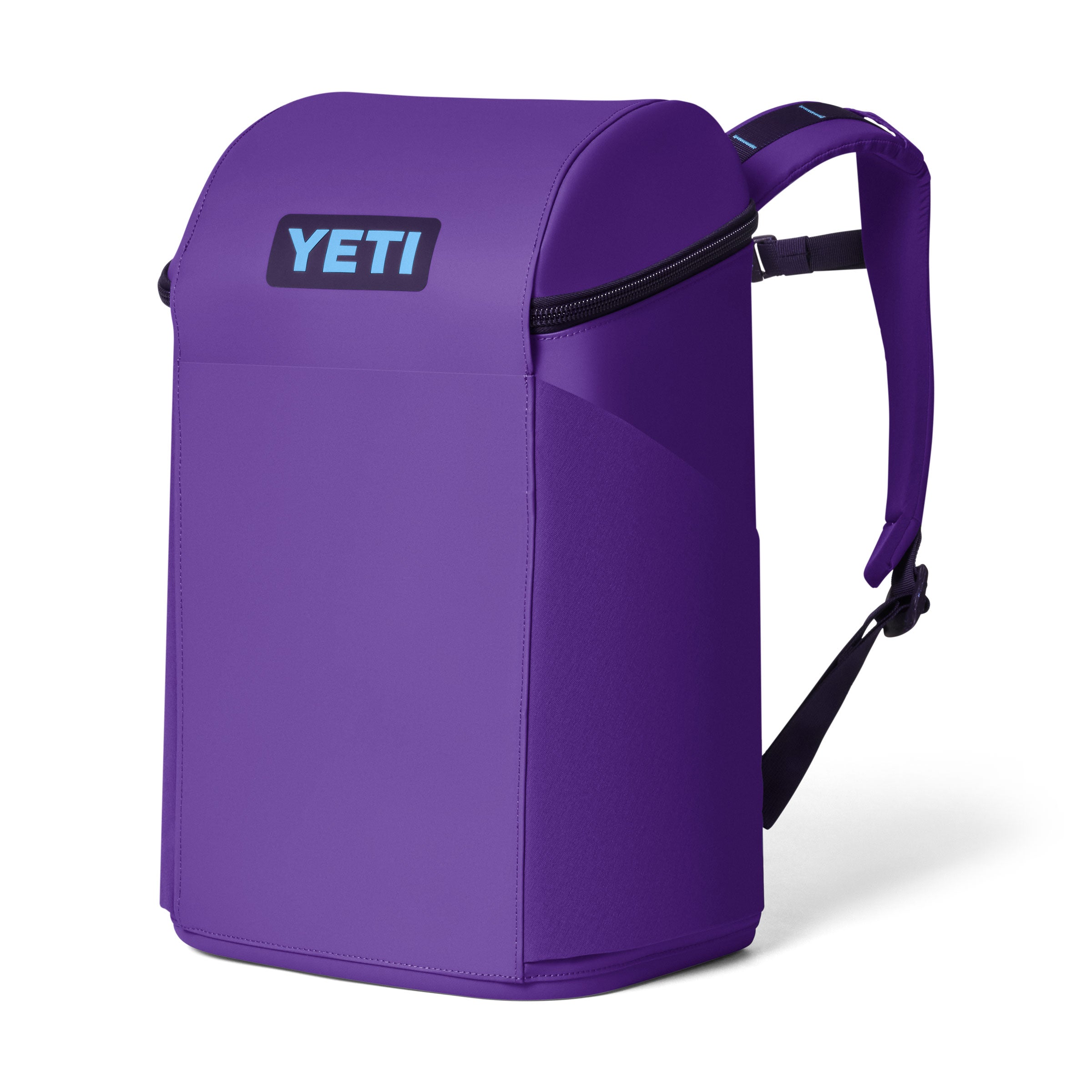 Daytrip® 20L Insulated Backpack