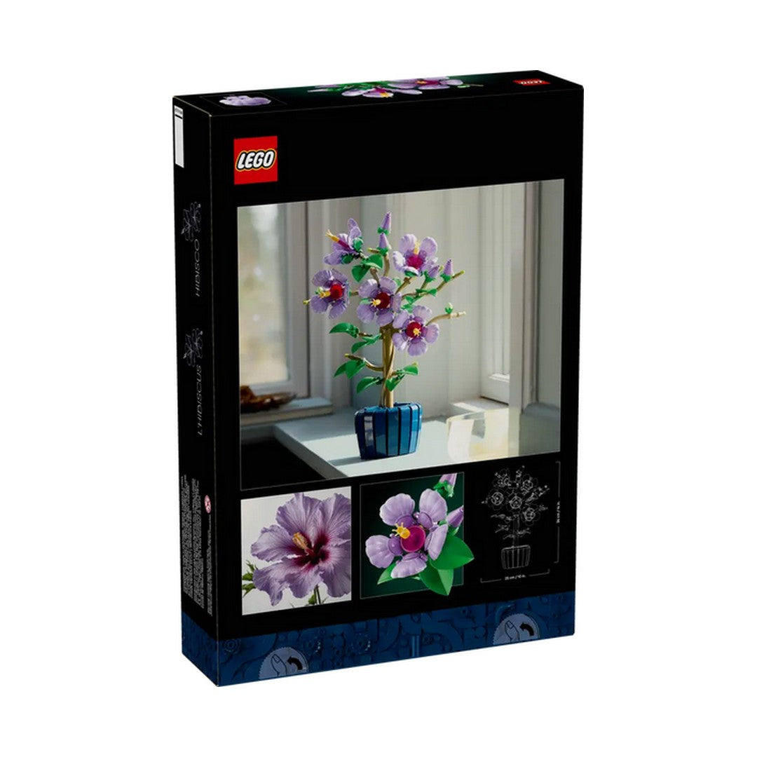 Hibiscus