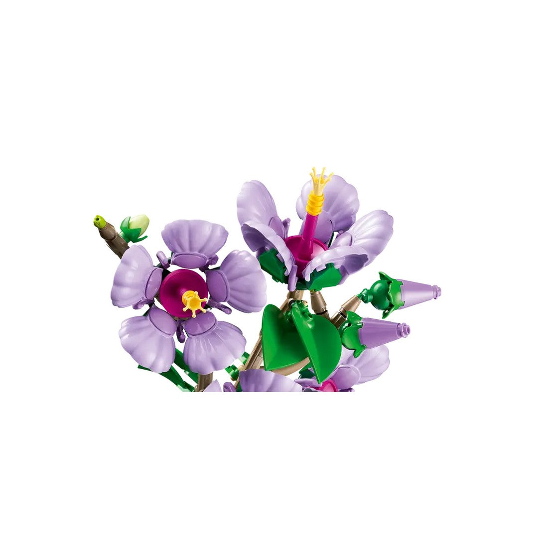 Hibiscus