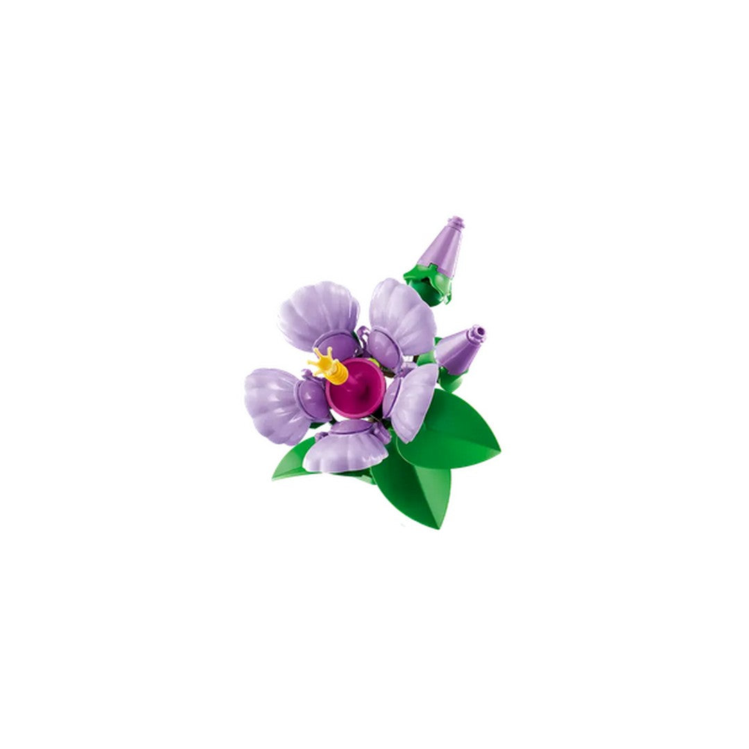 Hibiscus