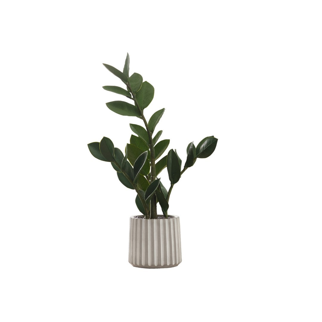ZZ ARTIFICIAL PLANT