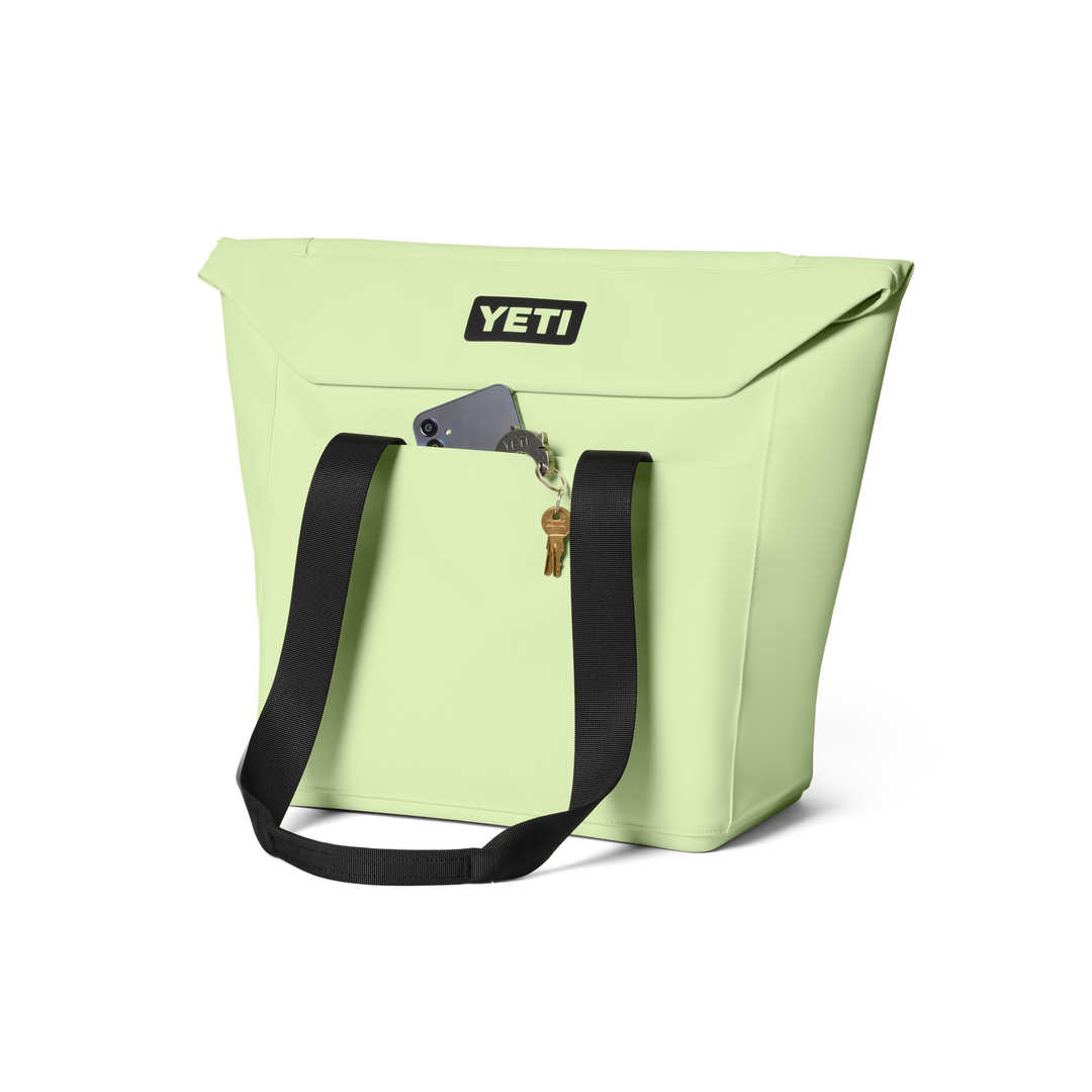 Daytrip® 20L Insulated Tote Bag