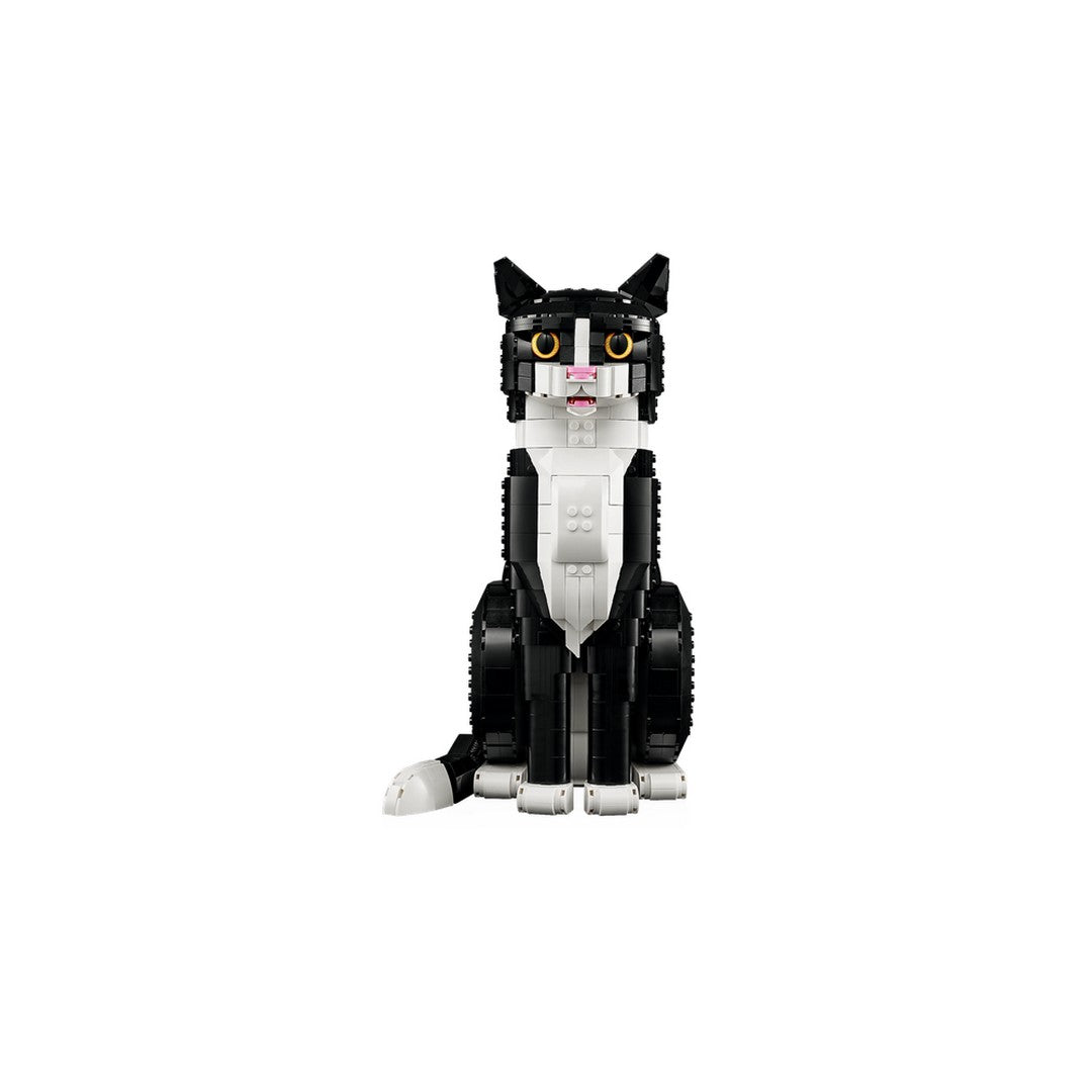 TUXEDO CAT