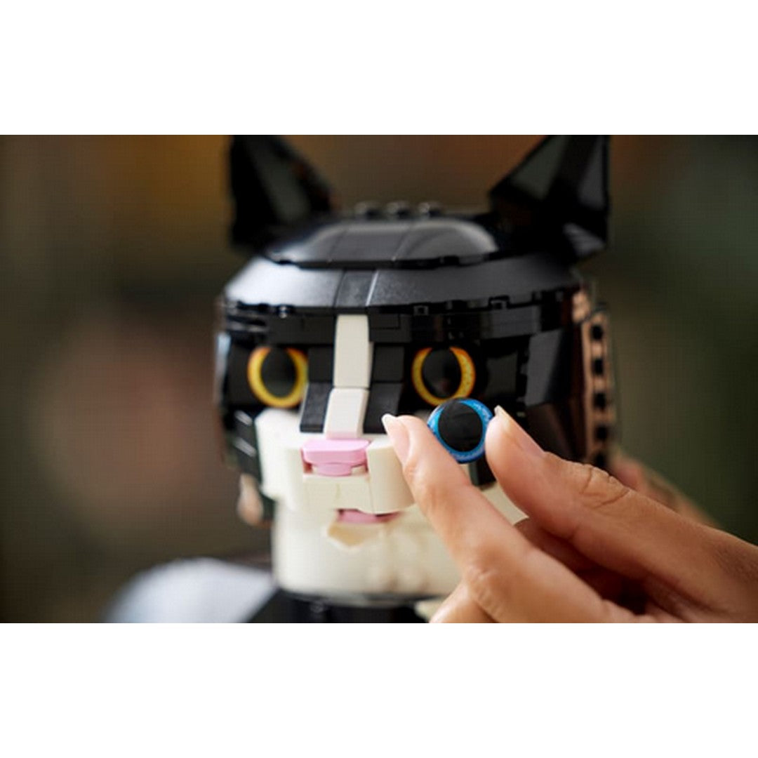 TUXEDO CAT