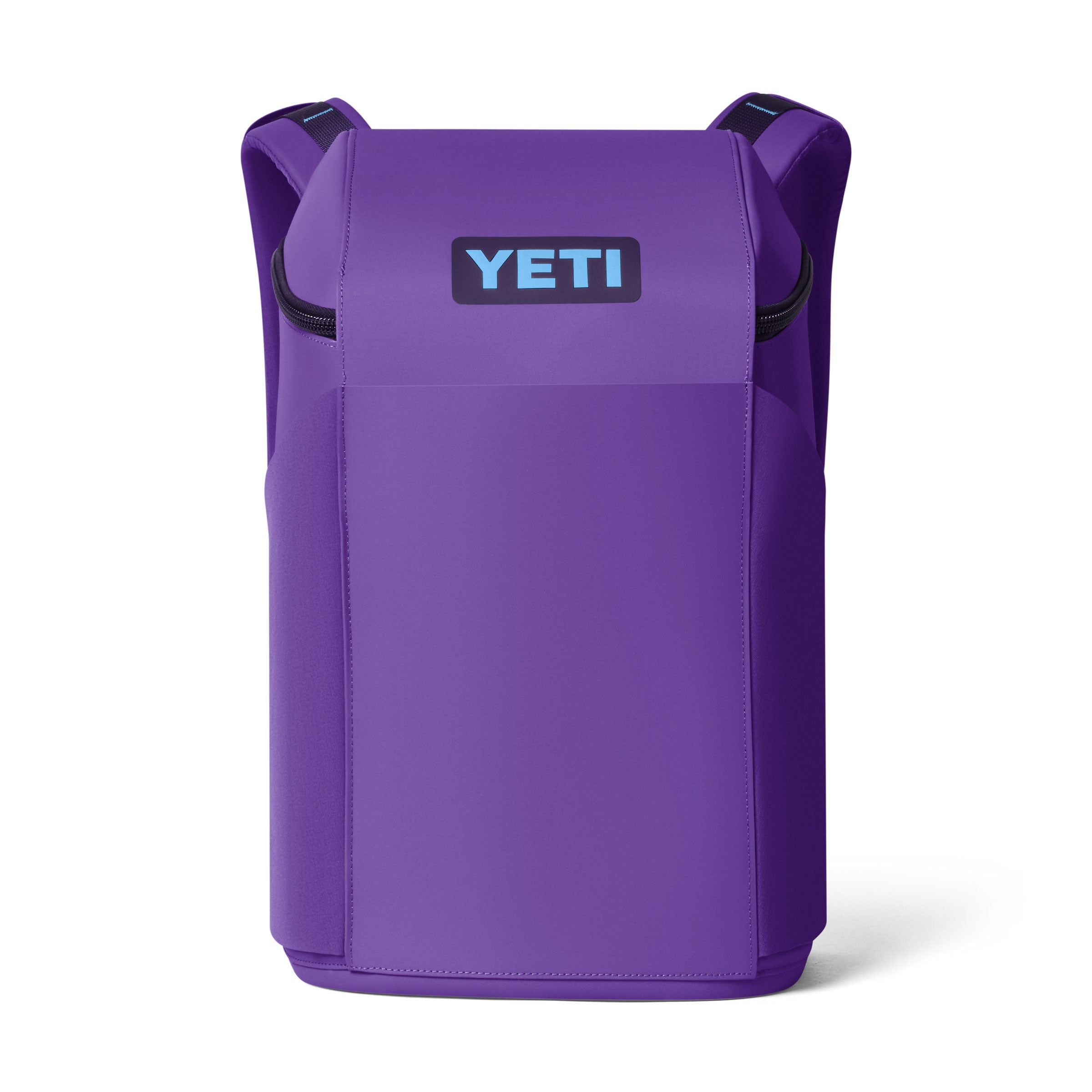Daytrip® 20L Insulated Backpack