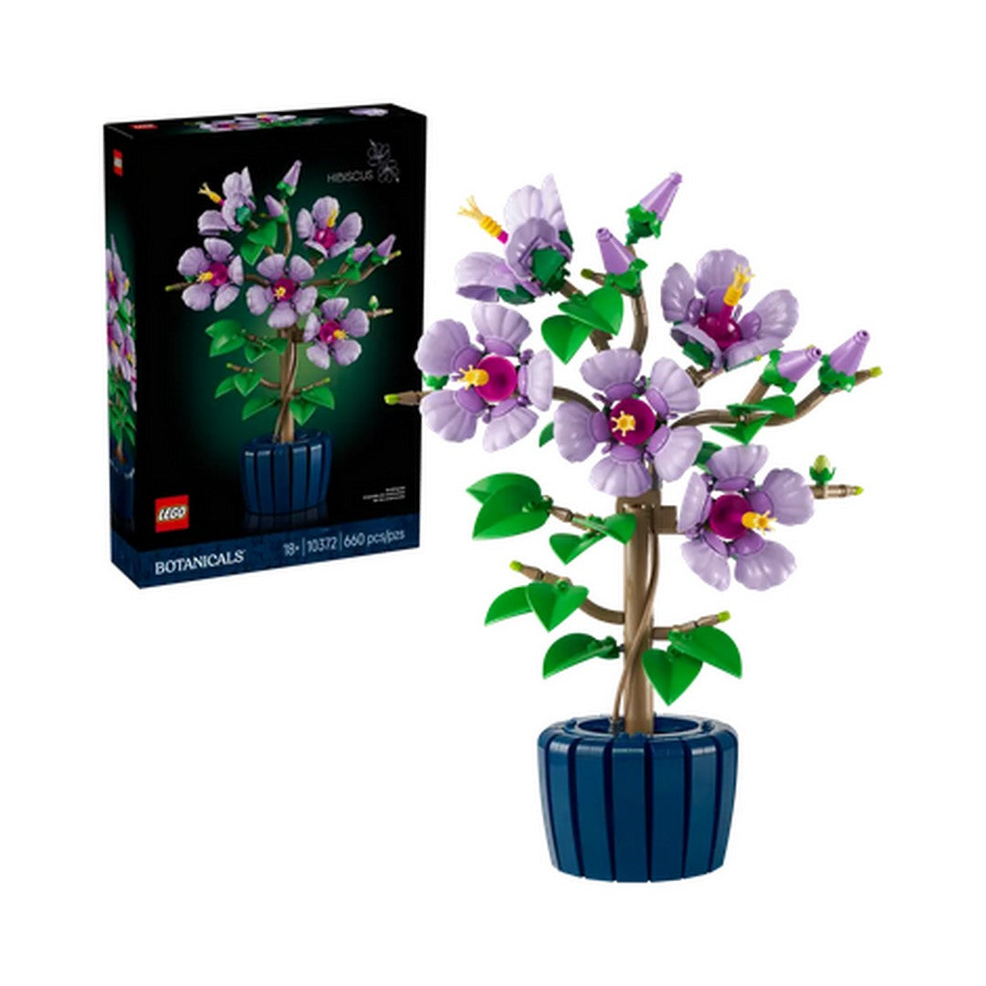 Hibiscus