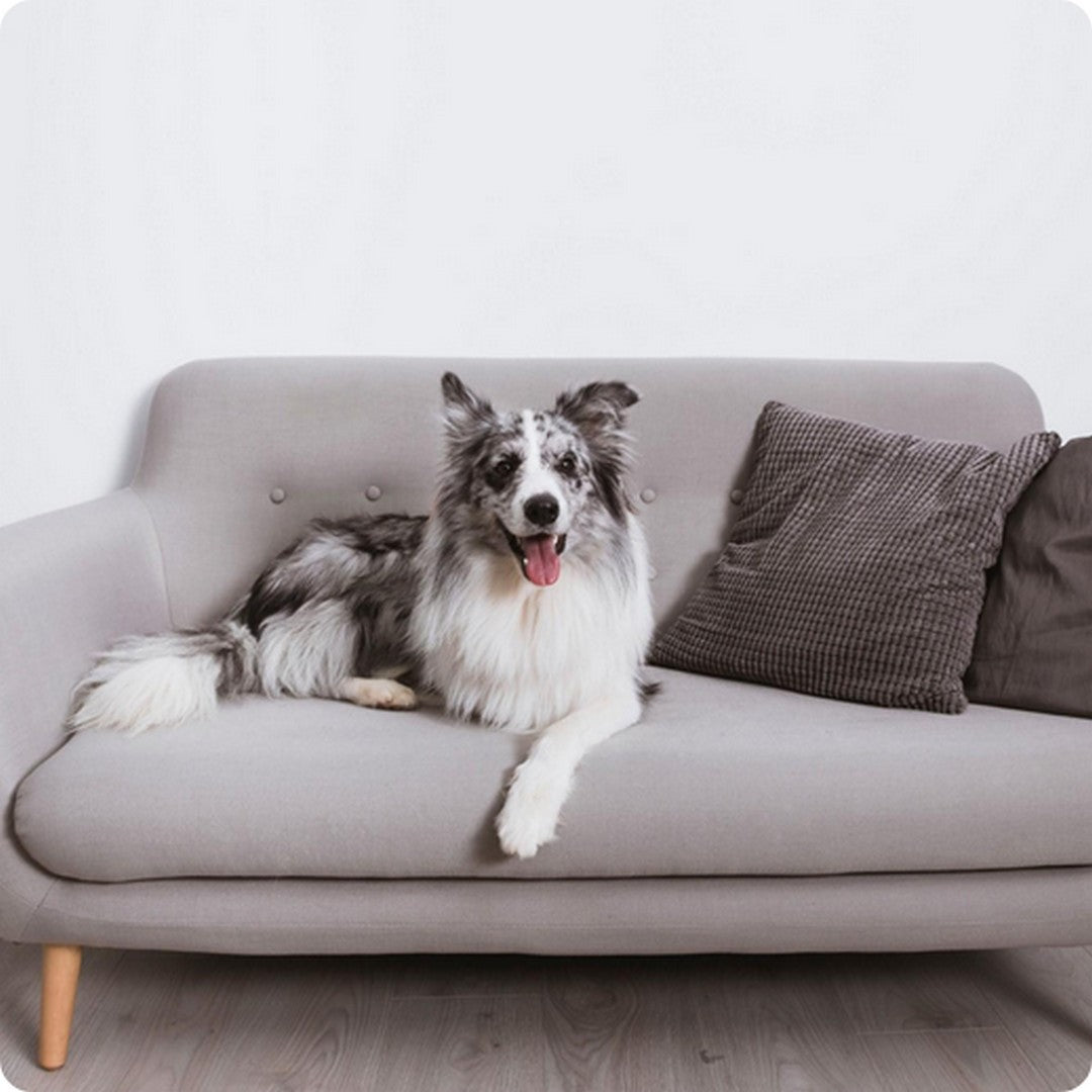 SMART ONE FURNITURE + PLAN