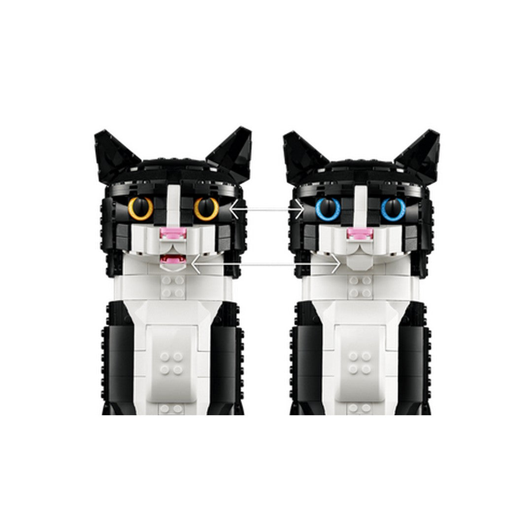 TUXEDO CAT