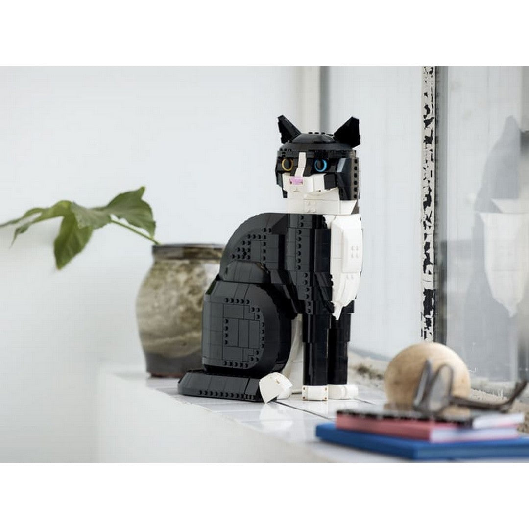 TUXEDO CAT
